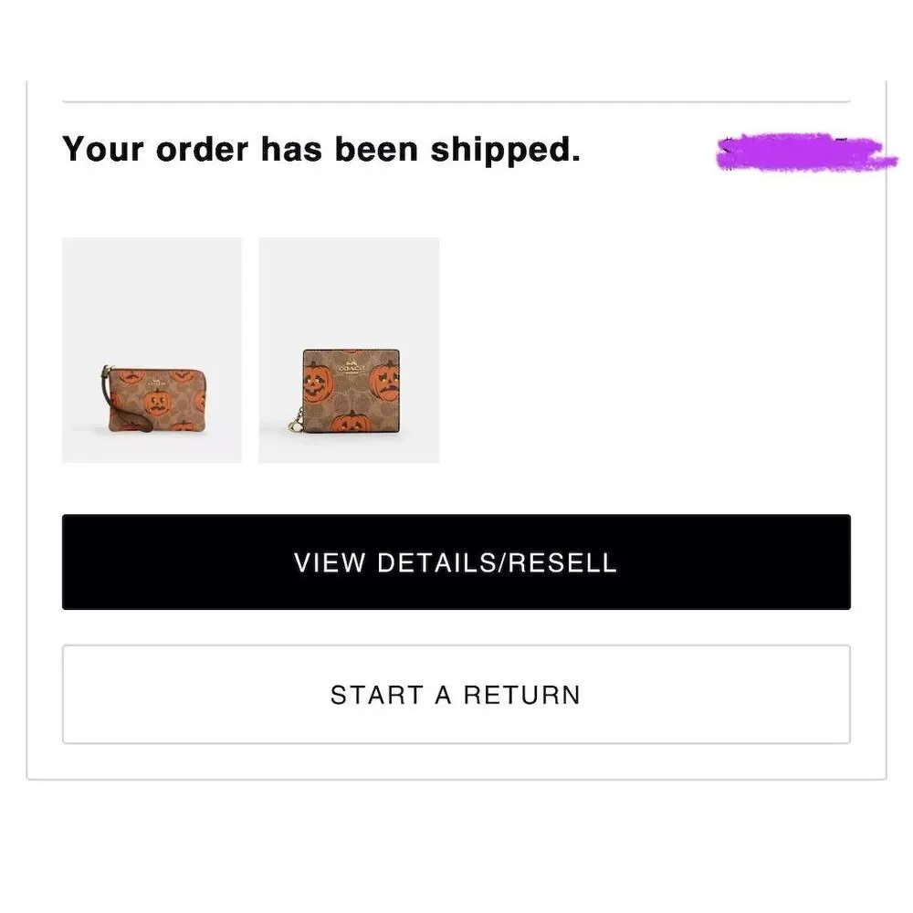 COACH Halloween Corner Zip Wristlet In Signature Canvas w Pumpkin Print CCL20 - Picture 7 of 8